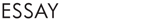Essay